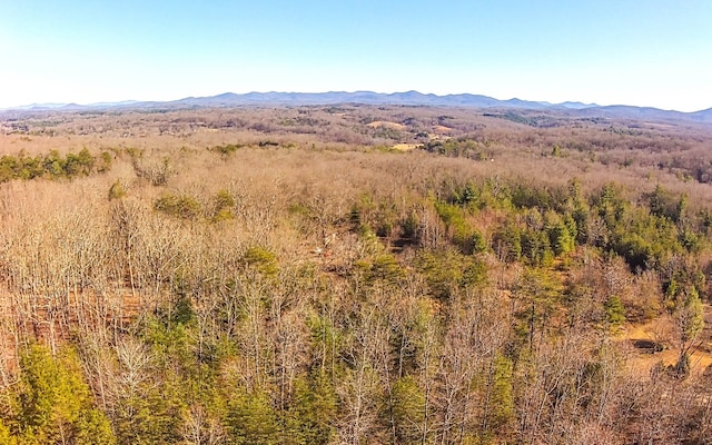 view of mountain view