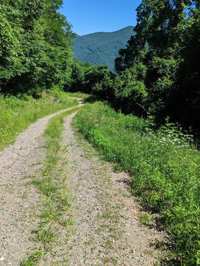 LOT6 Hickory Rdg, Hayesville, NC 28904