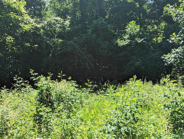 LOT6 Hickory Rdg, Hayesville, NC 28904