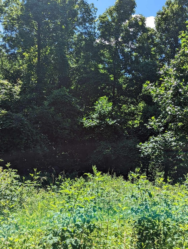 LOT6 Hickory Rdg, Hayesville, NC 28904