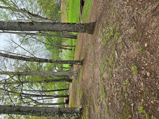 exterior details featuring a forest view