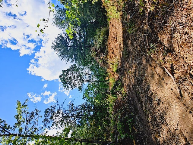 LOT4 Megan Trace Dr, Turtletown, TN 37391