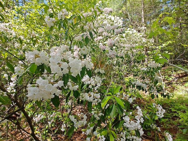LOT4 Megan Trace Dr, Turtletown, TN 37391