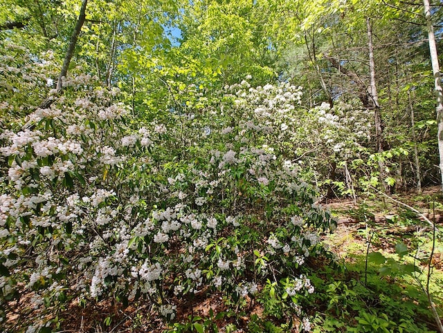 LOT4 Megan Trace Dr, Turtletown, TN 37391
