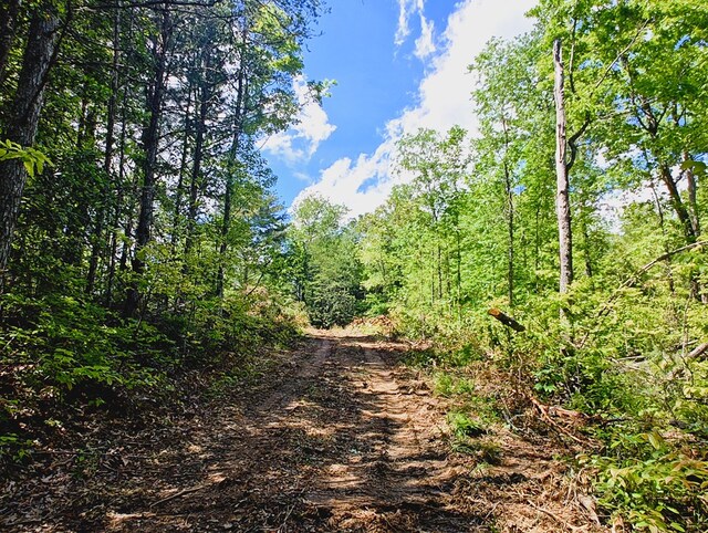 LOT4 Megan Trace Dr, Turtletown, TN 37391