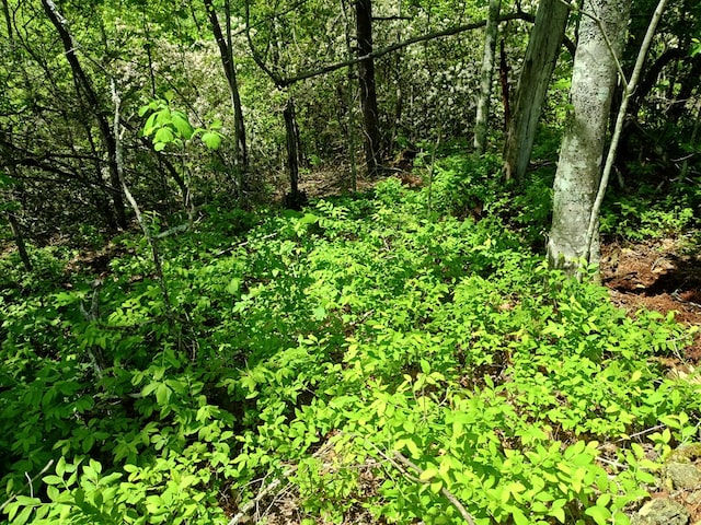 LOT4 Megan Trace Dr, Turtletown, TN 37391
