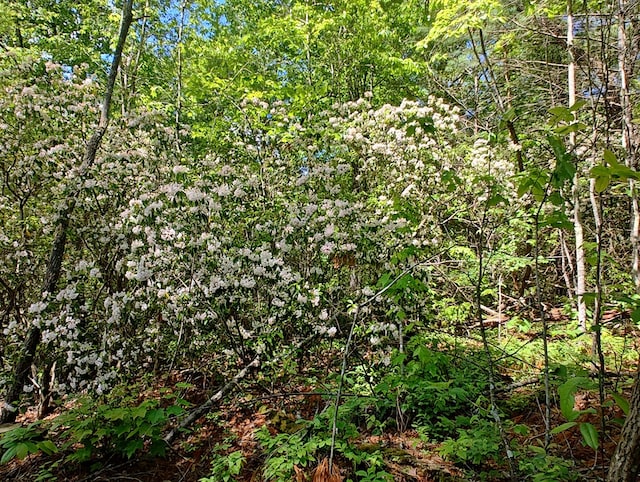 LOT4 Megan Trace Dr, Turtletown, TN 37391