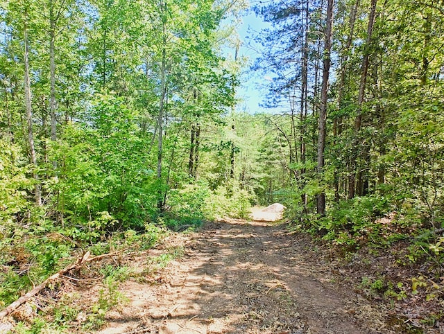 LOT4 Megan Trace Dr, Turtletown, TN 37391