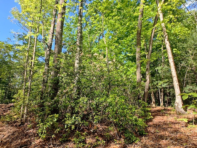 LOT4 Megan Trace Dr, Turtletown, TN 37391