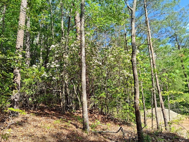 LOT4 Megan Trace Dr, Turtletown, TN 37391