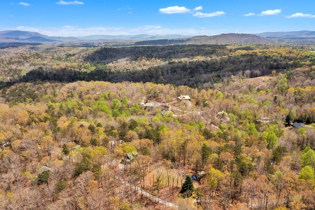 view of mountain view