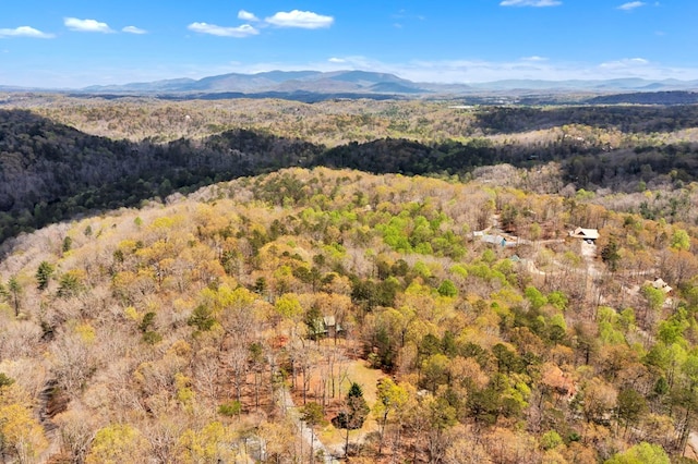 view of mountain view