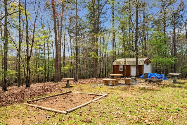 view of yard featuring a storage shed