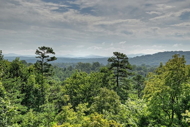 property view of mountains featuring a forest view