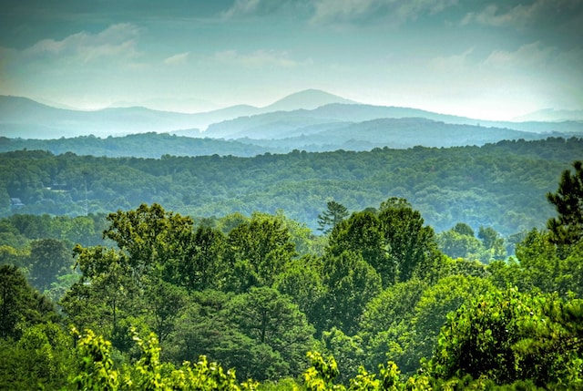 property view of mountains with a view of trees