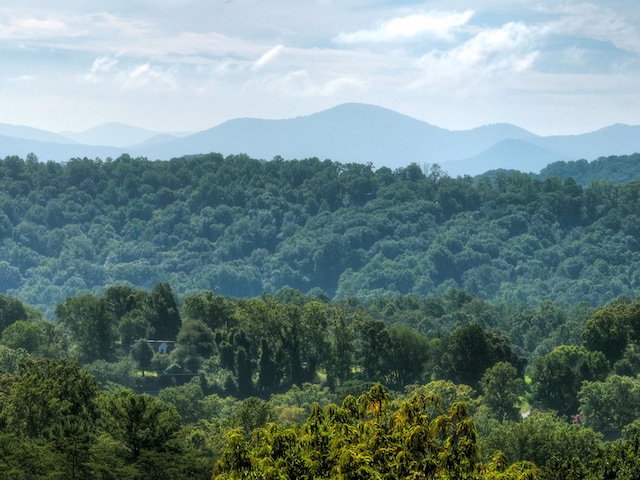 view of mountain feature with a wooded view