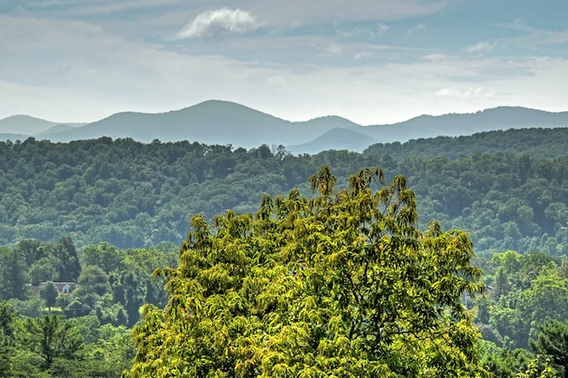 view of mountain feature with a wooded view