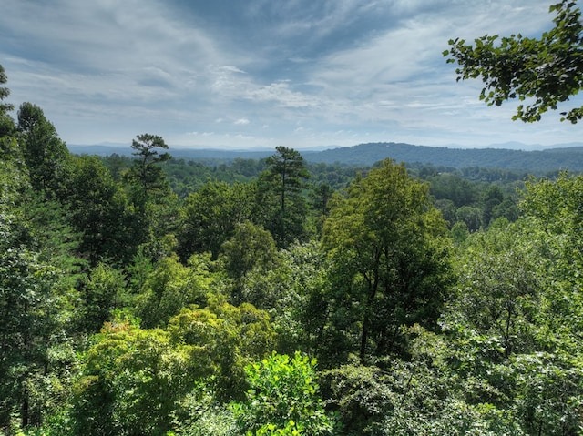 mountain view featuring a view of trees