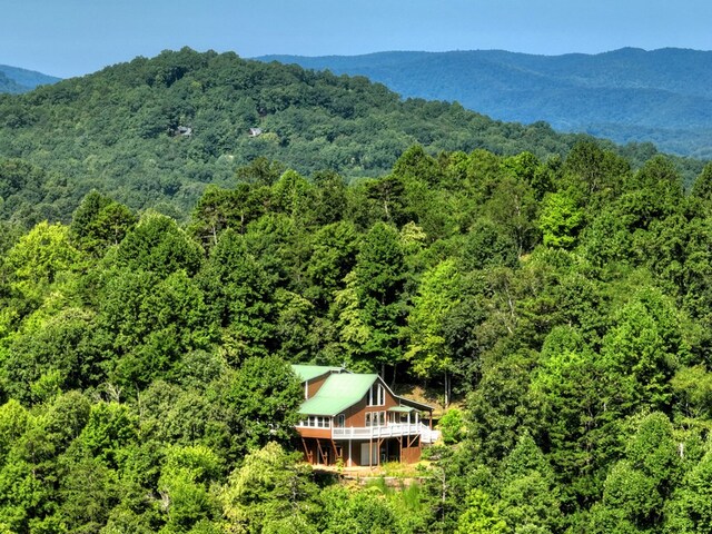 property view of mountains