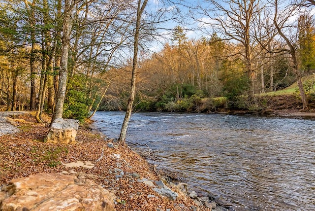 water view with a wooded view