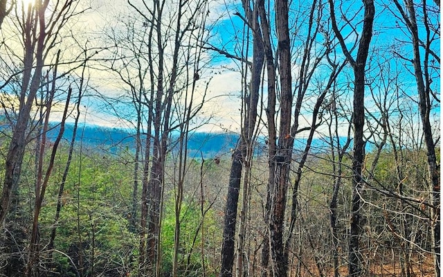 LOT80 Graystone Dr, Murphy NC, 28906 land for sale