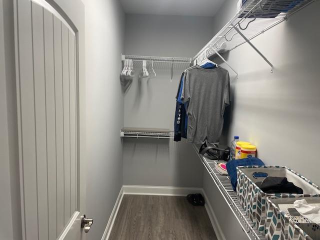 walk in closet featuring dark hardwood / wood-style flooring