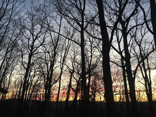 view of nature at dusk