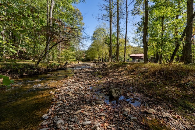 32 Mountain Meadows Dr, Hayesville, NC 28904 - view of yard