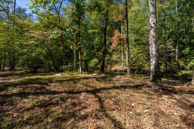 32 Mountain Meadows Dr, Hayesville, NC 28904 - view of woods
