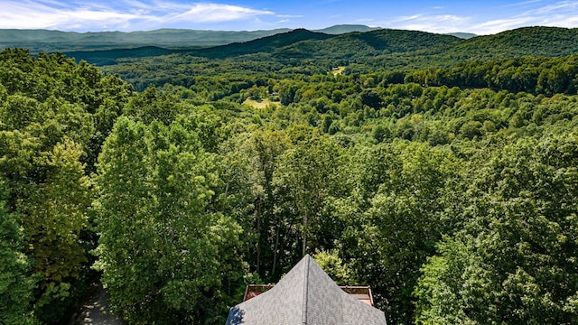 mountain view with a forest view