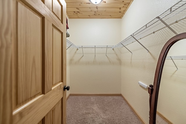 walk in closet with carpet flooring