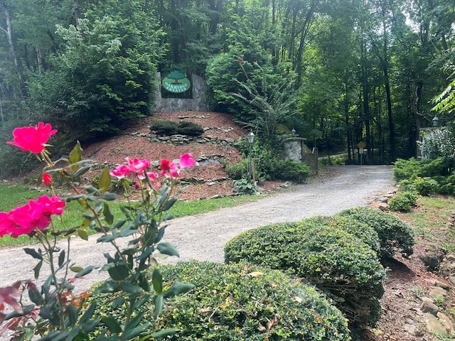 view of property's community featuring driveway and a wooded view