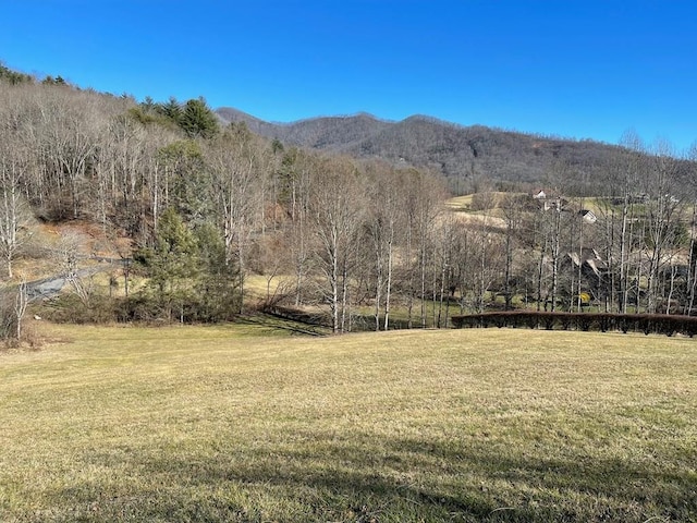 LOT21C Ash Branch Cir, Hayesville NC, 28904 land for sale