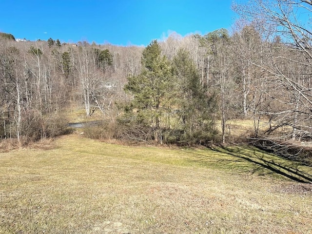 Listing photo 2 for LOT21C Ash Branch Cir, Hayesville NC 28904