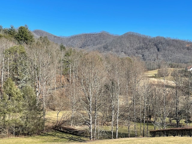 Listing photo 3 for LOT21C Ash Branch Cir, Hayesville NC 28904