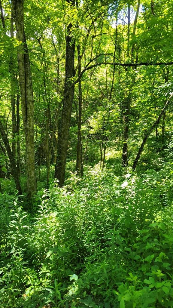LOT9 Hickory Rdg, Hayesville, NC 28904