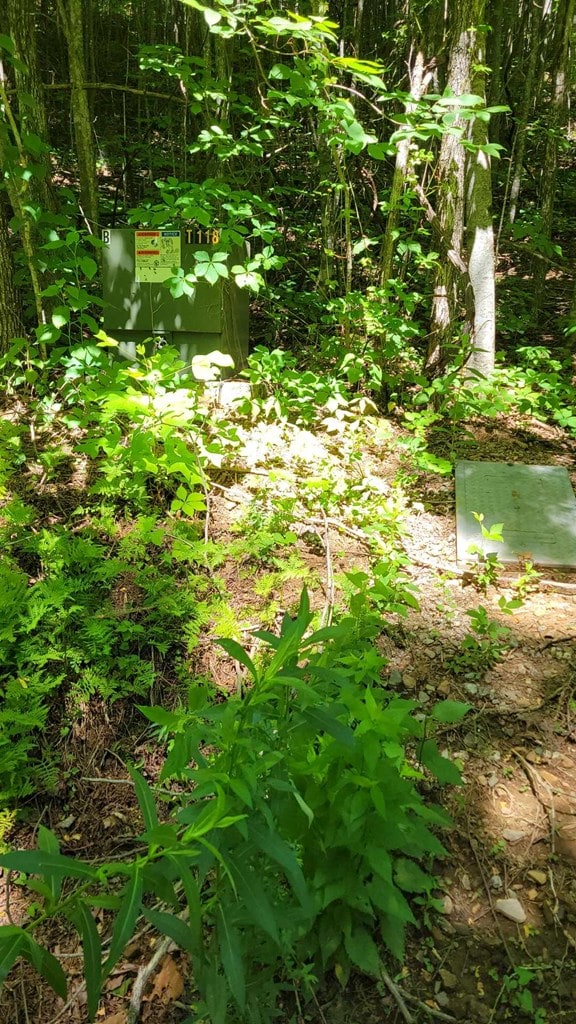 LOT9 Hickory Rdg, Hayesville, NC 28904