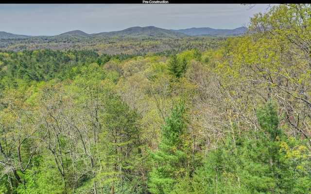 view of mountain feature