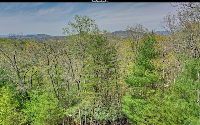 view of mountain feature