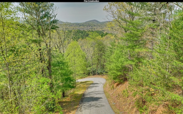 property view of mountains