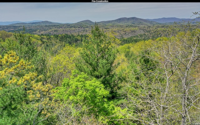 view of mountain feature