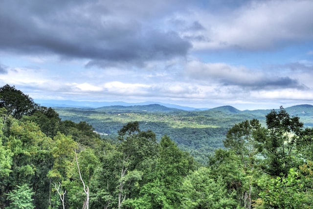 view of mountain feature