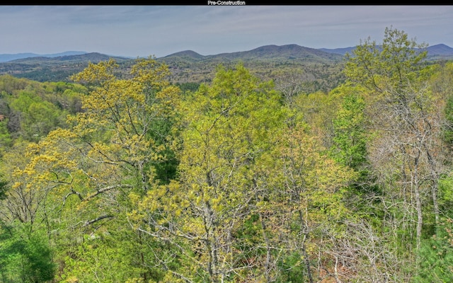 property view of mountains