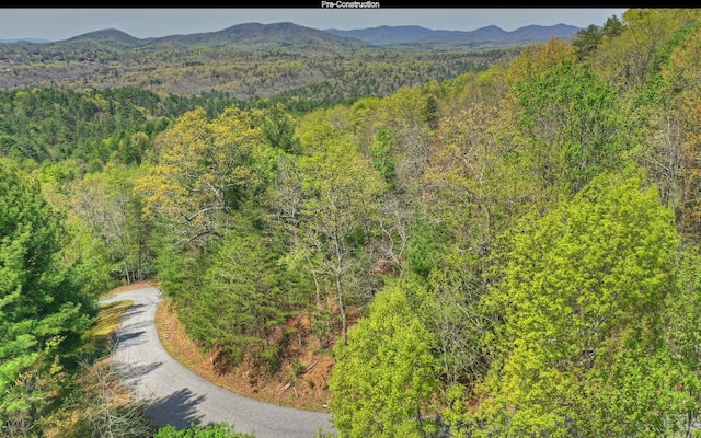 view of mountain feature