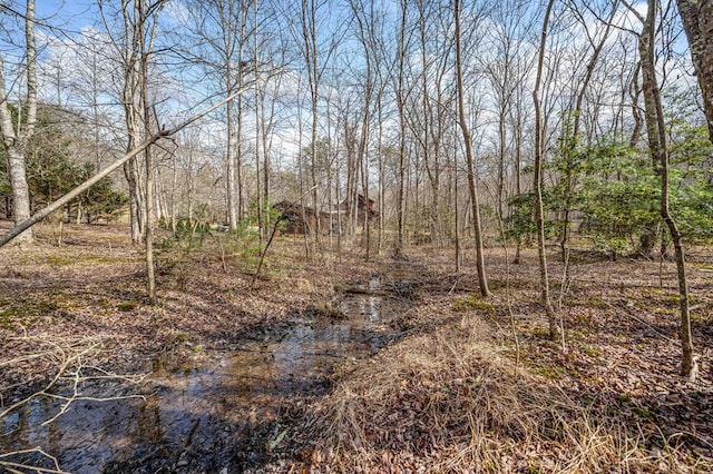 view of local wilderness