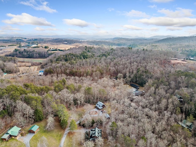 drone / aerial view with a mountain view