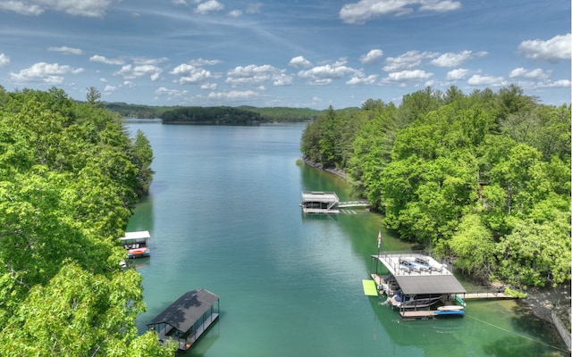 water view with a boat dock