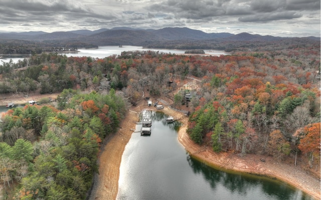 drone / aerial view with a water and mountain view