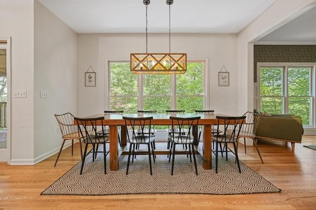 159 Cinnamon Fern Ln, Big Canoe, GA 30143 - dining space featuring wood finished floors, plenty of natural light, and baseboards