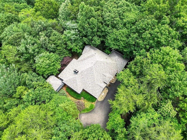 159 Cinnamon Fern Ln, Big Canoe, GA 30143 - view from above of property